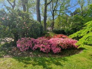 Jardin des plantes Nantes